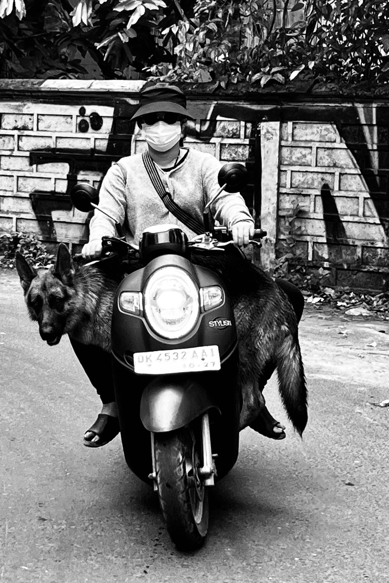 Just another day in Bali