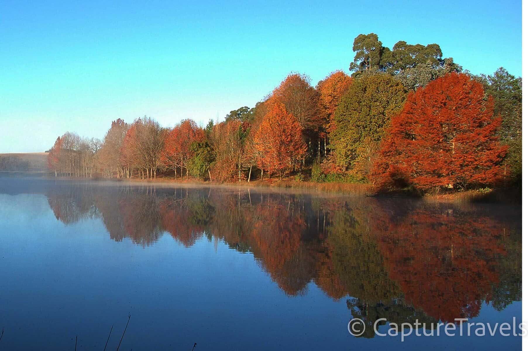 Autumn Reflections in the Berg