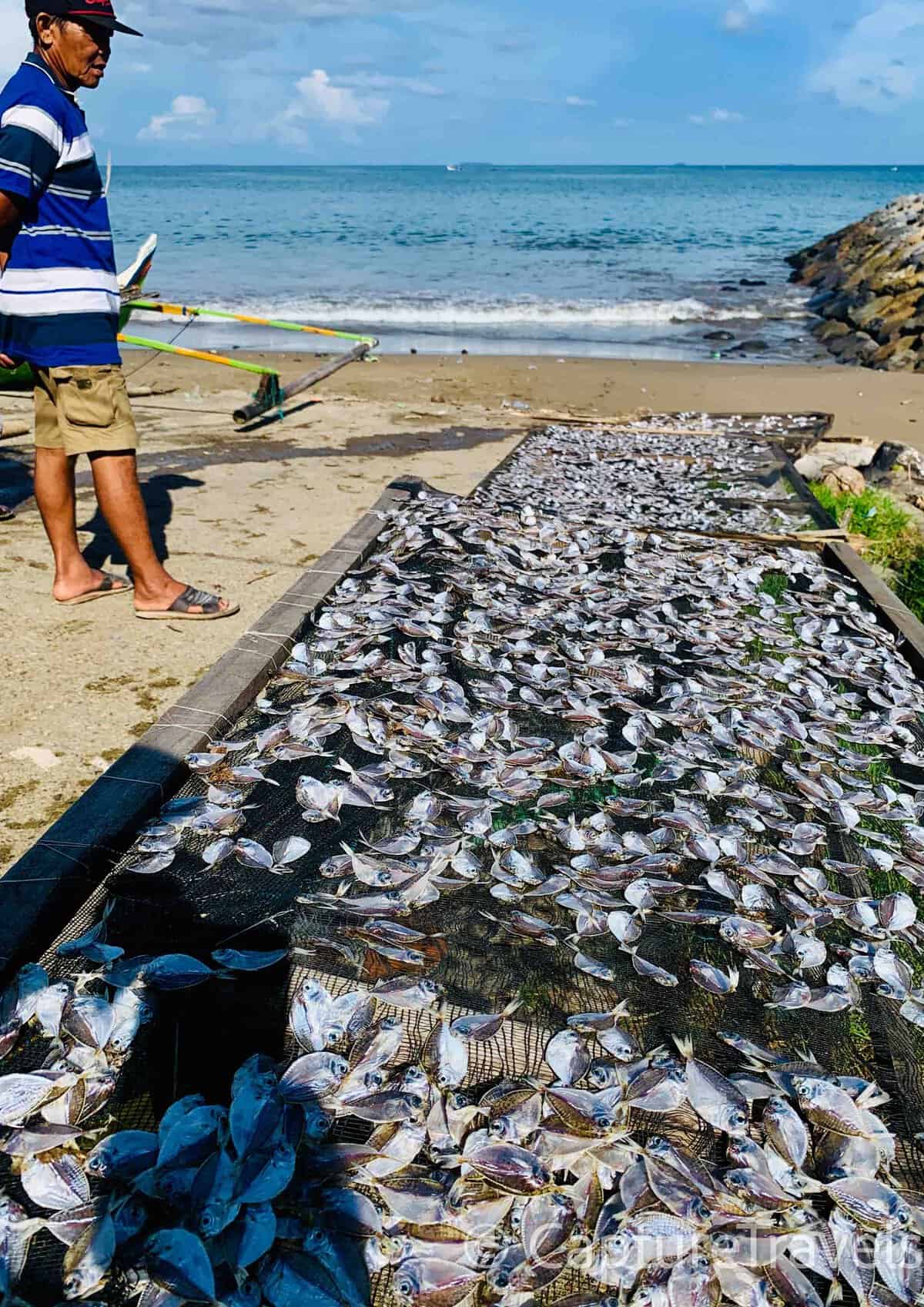 From Sea to Street: A Morning on Padang’s Fishing Beach