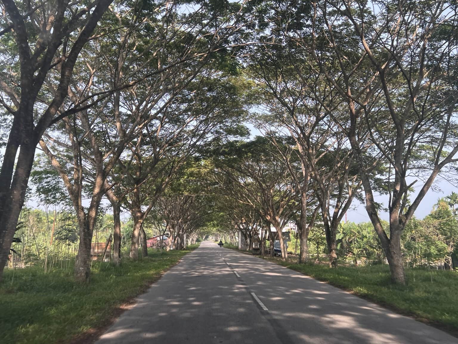 Along the Roads of Riau
