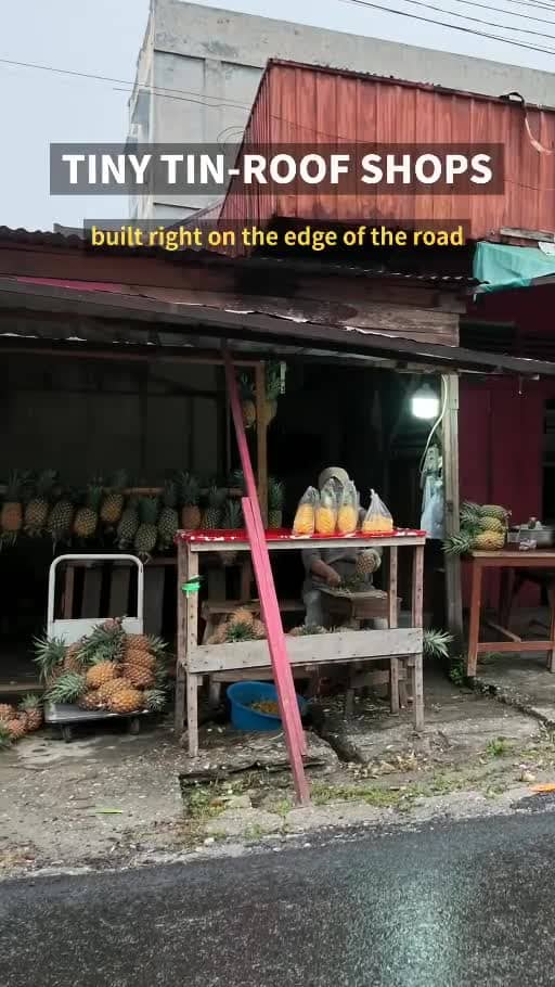 A Pineapple Stop in Riau